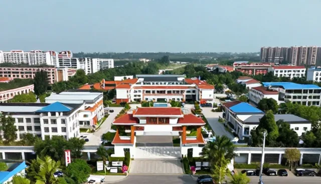 域名在不同行业网站建设中的实际应用场景分析