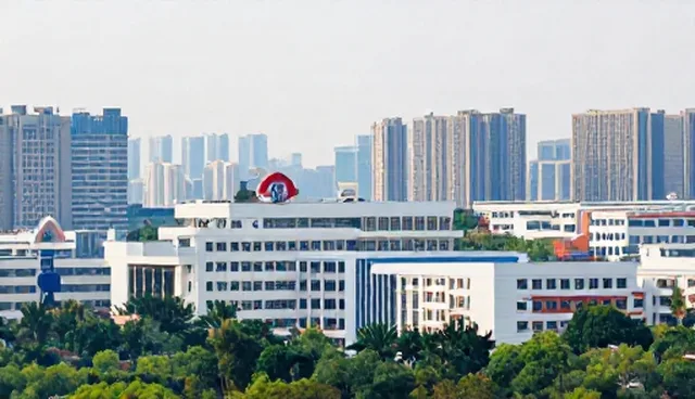 企业管理系统部署的适用条件与选择依据